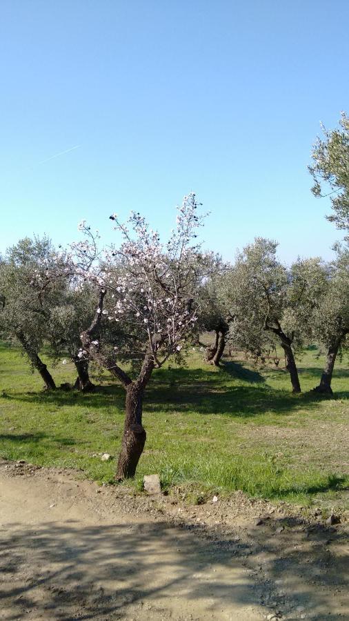 Cal Joanet, Acollidora Caseta A Gratallops Bagian luar foto